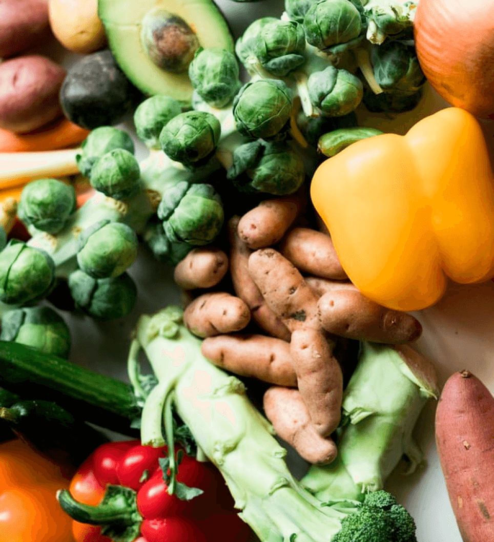 gesundes Gemüse für die Kita- und Schulverpflegung