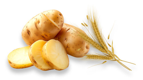 Kartoffeln und Getreide