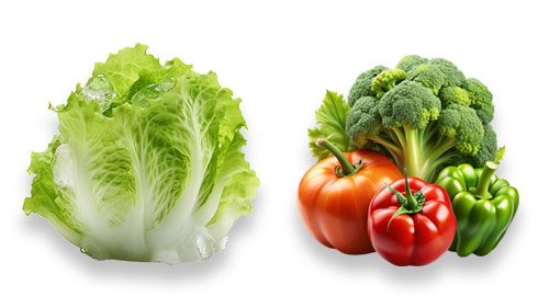 Salat & Gemüse